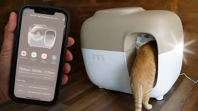 'Video thumbnail for Testing Out Pet Snowy Snow+ Automatic Cat Litter Box'