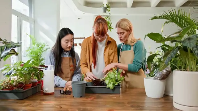 'Video thumbnail for Best Indoor Plants for Apartments'