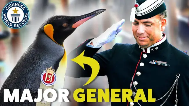 'Video thumbnail for Meet Sir Nils Olav: The Norwegian Army's Penguin Officer '