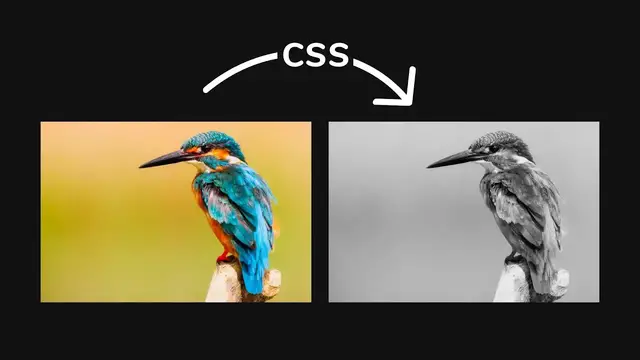 'Video thumbnail for How To Create Black and White image with CSS _ Gray Image Using CSS _ HTML & CSS Tutorial'