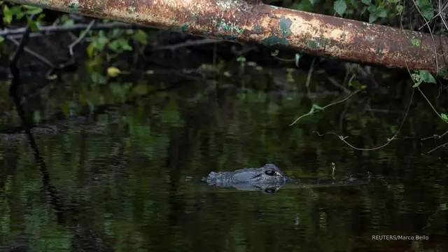 'Video thumbnail for Protests break out over ‘Alligator Alcatraz’ ahead of Trump visit'