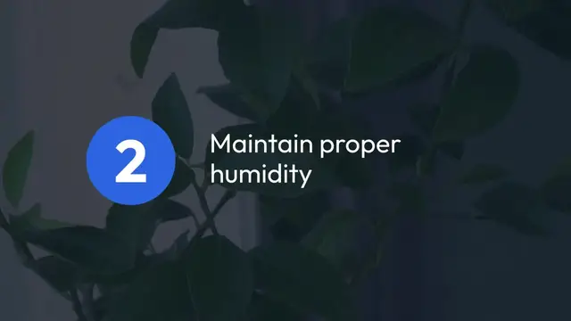 'Video thumbnail for Tips for Growing Orchids'