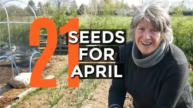 'Video thumbnail for What To Sow In April | Easy to grow food'