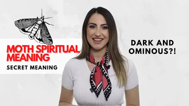 'Video thumbnail for Moth - Spiritual Meaning and Symbolism'
