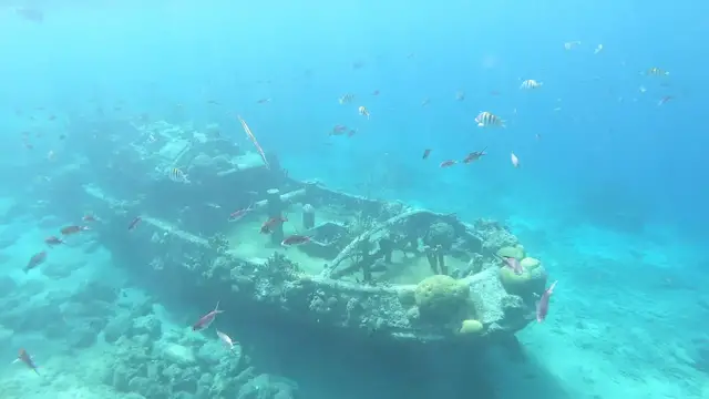 'Video thumbnail for Snorkelen bij Tugboat Beach Curaçao'