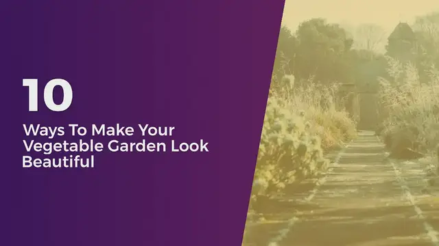 'Video thumbnail for 10_Ways_To_Make_Your_Garden_Beautiful'