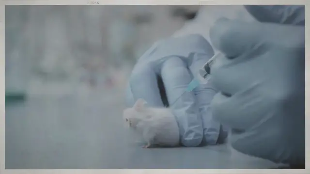 'Video thumbnail for The History of Animal Testing '