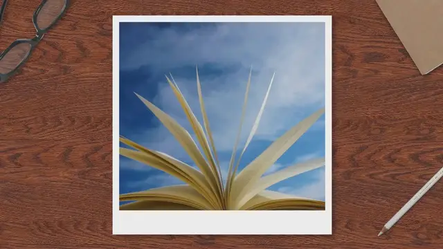 'Video thumbnail for LCP and Images'