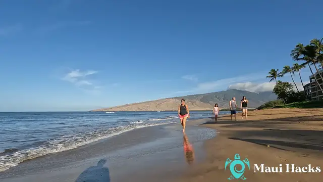 'Video thumbnail for A Walk Along North Kihei Beach Towards A Capsized Boat'
