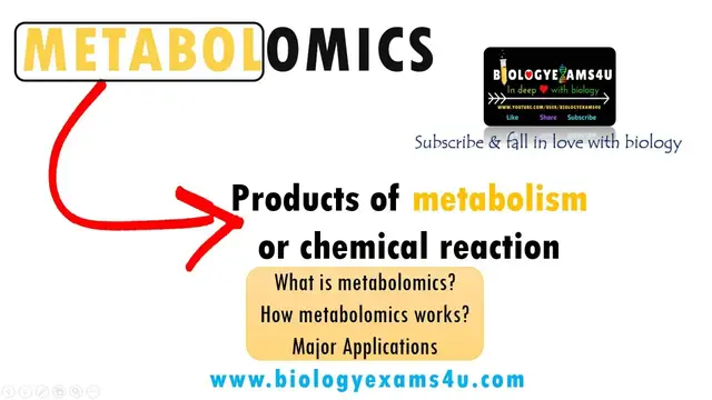 'Video thumbnail for What is Metabolomics? How does Metabolomics work? Importance and applications of Metabolomics'