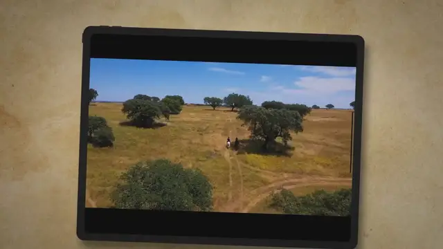 'Video thumbnail for Horse Riding Skills Checklist'