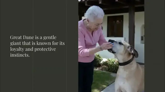 'Video thumbnail for Top 10 Best Dogs to Protect Your Family'