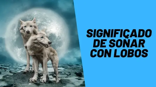 'Video thumbnail for Significado de soñar con lobos'