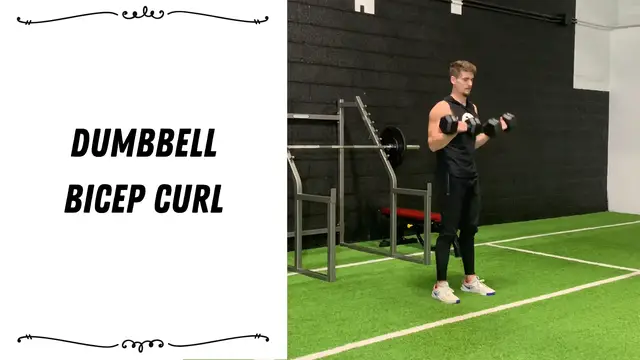 'Video thumbnail for Dumbbell Bicep Curl'
