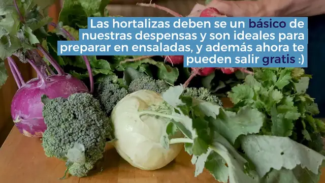 'Video thumbnail for Consigue gratis botes de zanahoria y remolacha de Bounduelle'