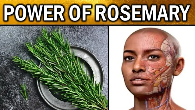'Video thumbnail for 8 Ways Rosemary Improves Your Mental, Emotional, and Physical Well-Being (ROSEMARY HEALTH BENEFITS)'