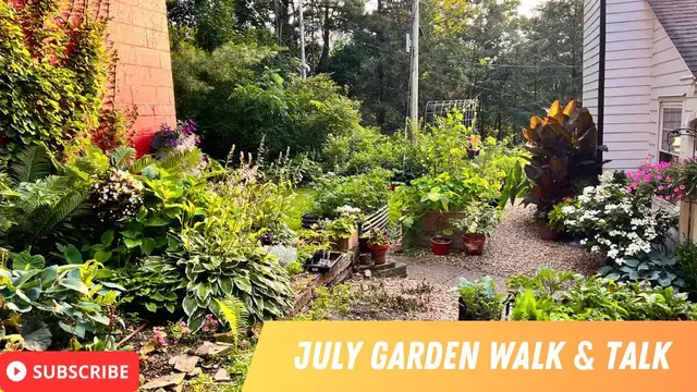 'Video thumbnail for JULY GARDEN TOUR | DOLLAR TREE HANGING PLANTERS | CUT FLOWER GARDEN | TROPICAL PLANT CONTAINERS'