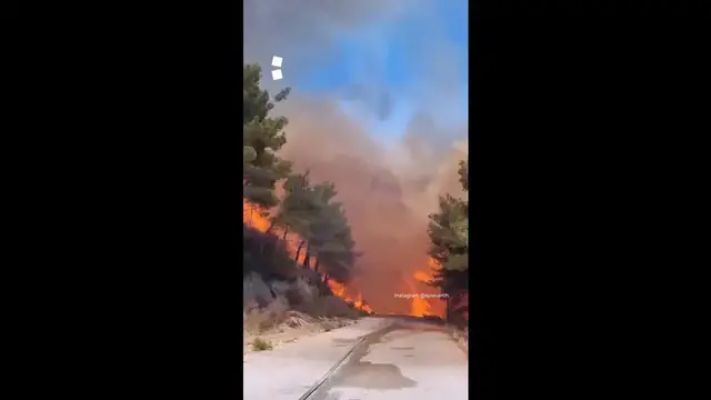 'Video thumbnail for Emergency workers battle wildfires in Syria'