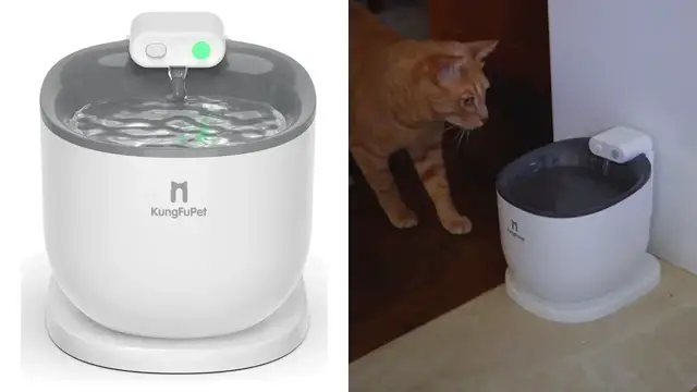 'Video thumbnail for KungFuPet Wireless Pet Water Fountain with Motion Sensor Review'
