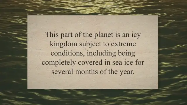 'Video thumbnail for All About Bowhead Whales: The Polar Whale'