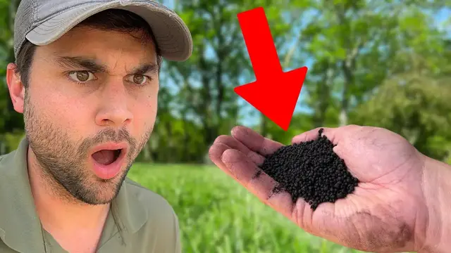 'Video thumbnail for 4 Things I Wish I’d Done To My LAWN Earlier…'