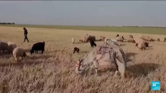 'Video thumbnail for Drought-hit Syrian farmers could get help as sanctions lifted'