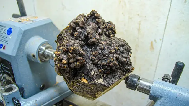'Video thumbnail for Woodturning - Cracking Burl Bowl'