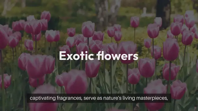 'Video thumbnail for Exotic Flowers'