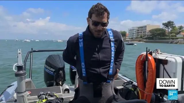 'Video thumbnail for Ocean warriors: The race to save seahorses, seagrass and flat oysters'