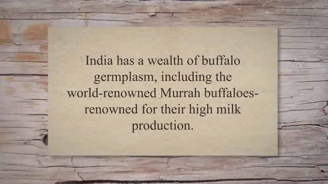 'Video thumbnail for 17 Buffalo breeds in India'