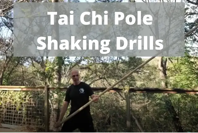 'Video thumbnail for The 4 Primary Tai Chi Pole Shaking Drills'