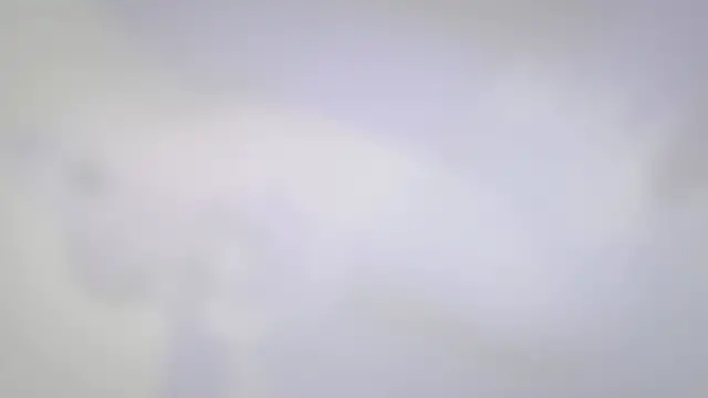 'Video thumbnail for Giant Betta All You Need To Know In 2022 With Real Images'