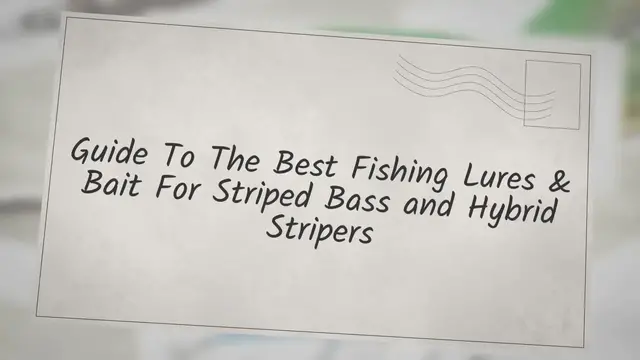 'Video thumbnail for Guide To The Best Fishing Lures & Bait For Striped Bass and Hybrid Stripers'