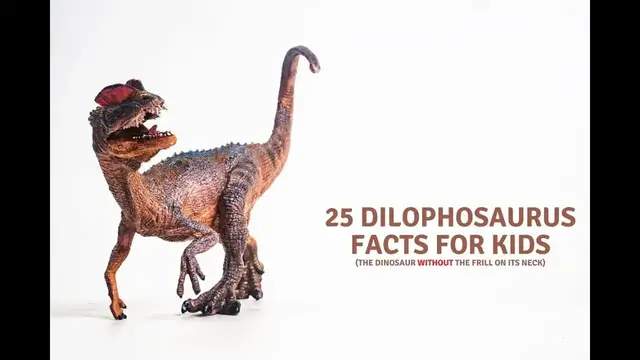 'Video thumbnail for Dilophosaurus Facts for Kids'