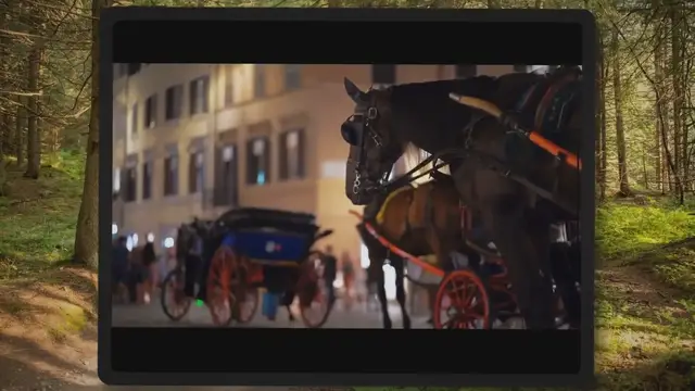 'Video thumbnail for What Are Blinders On A Horse Used For?'