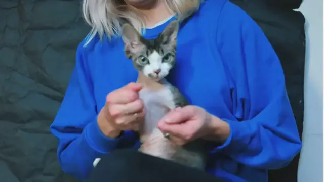 'Video thumbnail for Cat Learns to Dance'