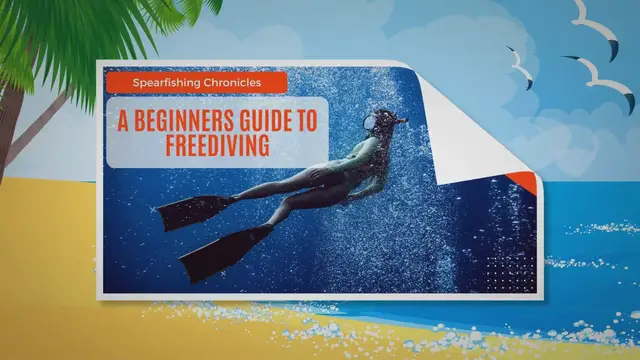 'Video thumbnail for A Beginners Guide To Freediving'