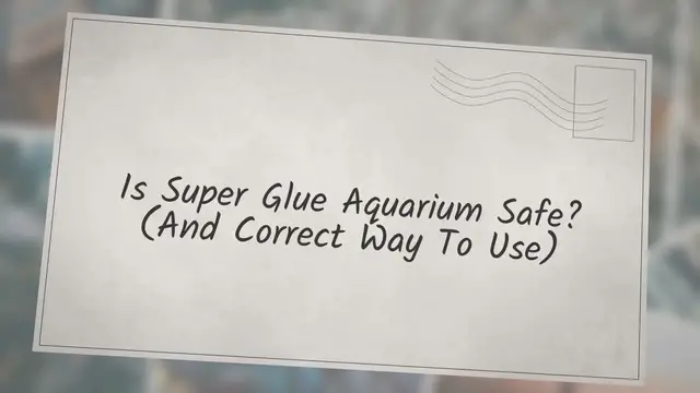 'Video thumbnail for Is Super Glue Aquarium Safe? (And Correct Way To Use)'