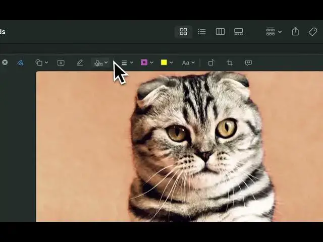 'Video thumbnail for How to crop an image easily on Mac'