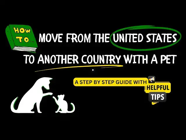 'Video thumbnail for TRAVELING WITH A PET IN 2024 | FROM THE UNITED STATES TO ANOTHER COUNTRY'