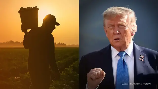 'Video thumbnail for Trump says migrants working on farms could get ‘pass’ from deportation'