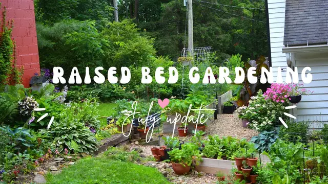 'Video thumbnail for Raised Bed Gardening in July | Dollar Tree Herb Tower Update'
