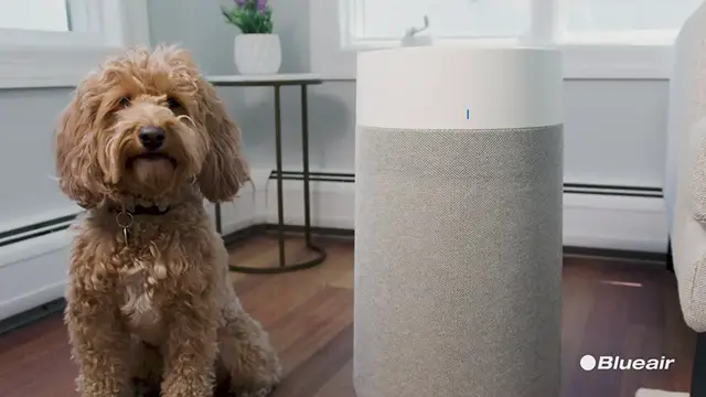 'Video thumbnail for BLUEAIR Air Purifiers for Large Home Room, HEPA Silent Air Purifiers for Bedroom'