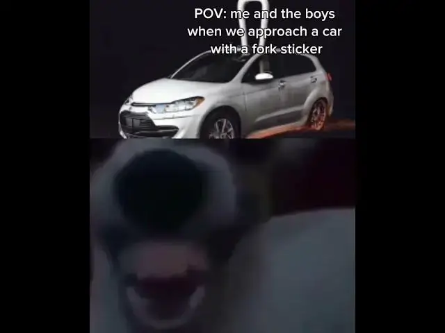 'Video thumbnail for late memeposting'