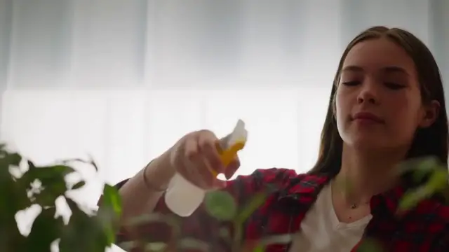 'Video thumbnail for Philodendron_Birkin_indoor_plant_care'