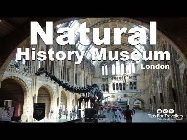 'Video thumbnail for Natural History Museum London: Video Tour (dinosaurs, whales and more!)'