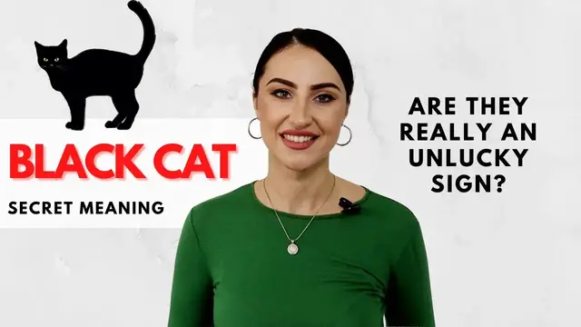 'Video thumbnail for Black Cat Symbolism - Are They Really an Unlucky Sign?'