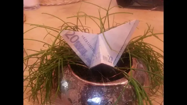 'Video thumbnail for 🦋 Schmetterling aus Geldschein falten 🦋 Schmetterling aus Geld falten 🦋 Tiere aus Geld falten 🦋'