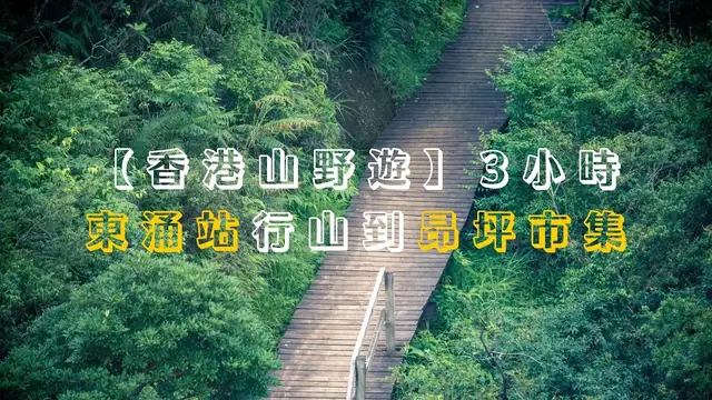 'Video thumbnail for 【香港山野遊】3小時東涌站行山到昂坪市集｜纜車🚡下打卡｜昂坪棧道｜昂坪360救援徑'