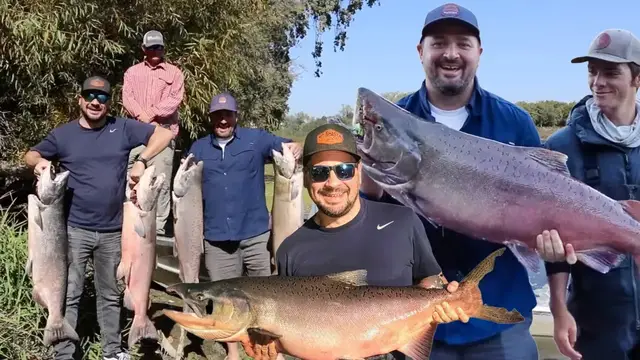 'Video thumbnail for Catching MASSIVE Chinook Salmon on the Sacramento River'